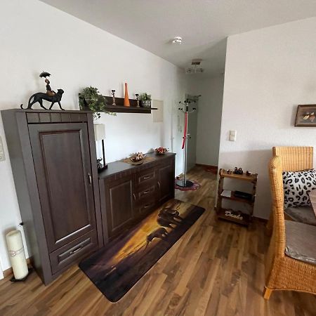 Moeblierte Wohnung Fuer Geschaeftsreisen/Ferienwohnung Plauen Stadtmitte 외부 사진