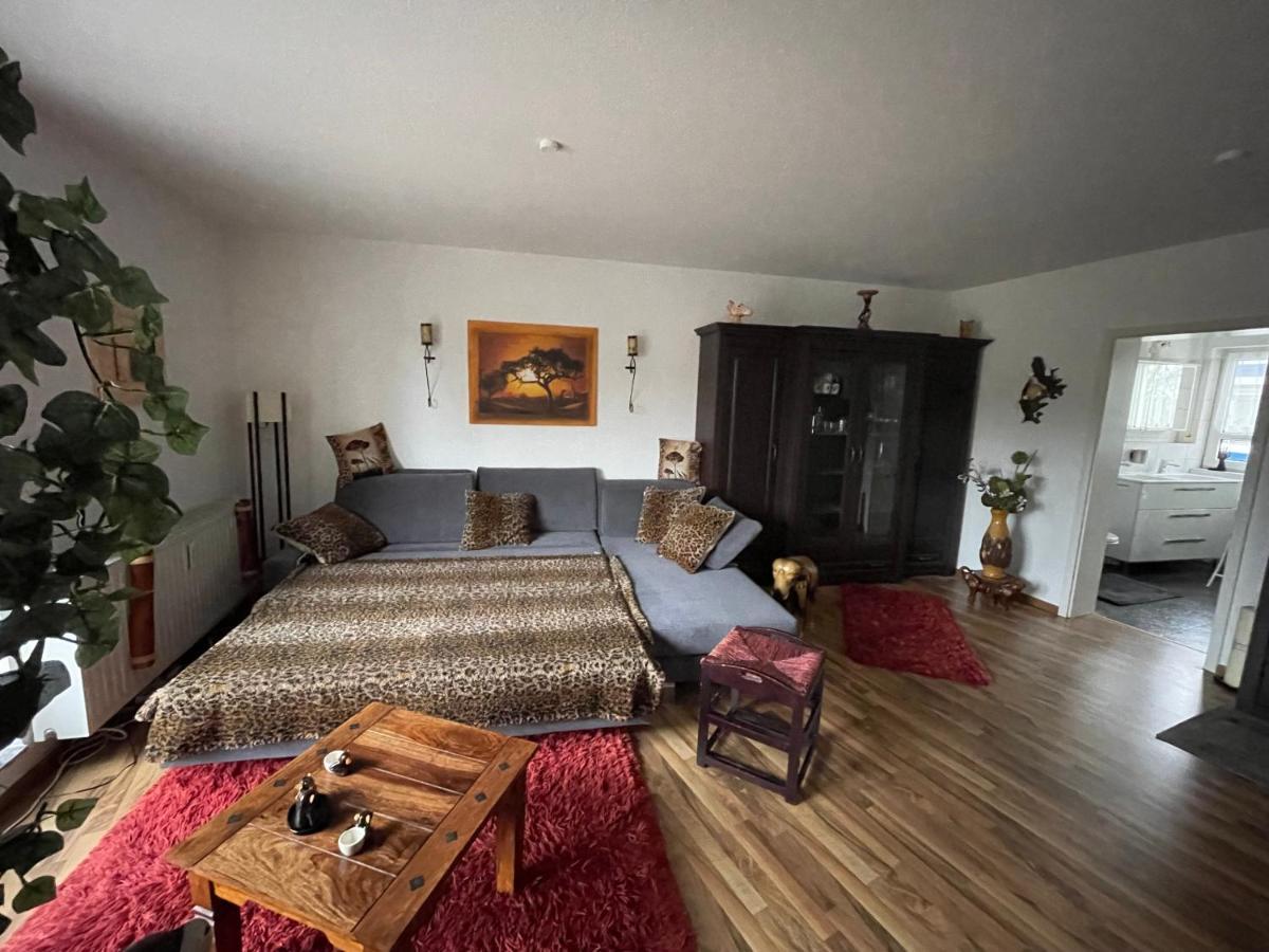 Moeblierte Wohnung Fuer Geschaeftsreisen/Ferienwohnung Plauen Stadtmitte 외부 사진