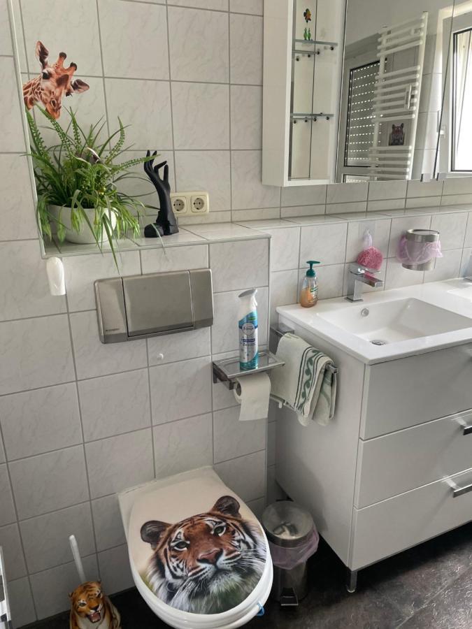 Moeblierte Wohnung Fuer Geschaeftsreisen/Ferienwohnung Plauen Stadtmitte 외부 사진